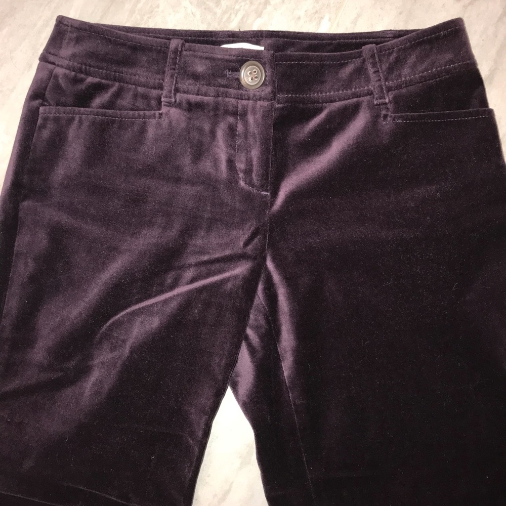 🌟Host Pick!🌟Ann Taylor LOFT velvety purple pants